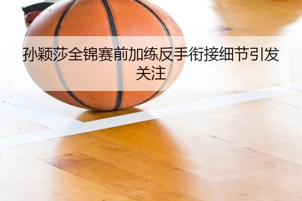 孙颖莎全锦赛前加练反手衔接细节引发关注